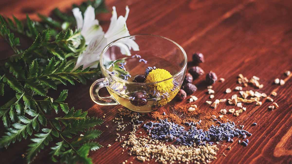 Soothing Sips: Digestive and Stress-Relieving Benefits Of Herbal Teas